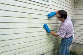 Affordable siding repair and maintenance services in Monte Alto, TX